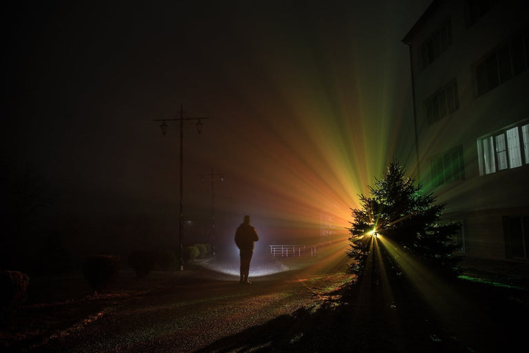 WHY CURIOSITY IS SO IMPORTANT TO FRAHM