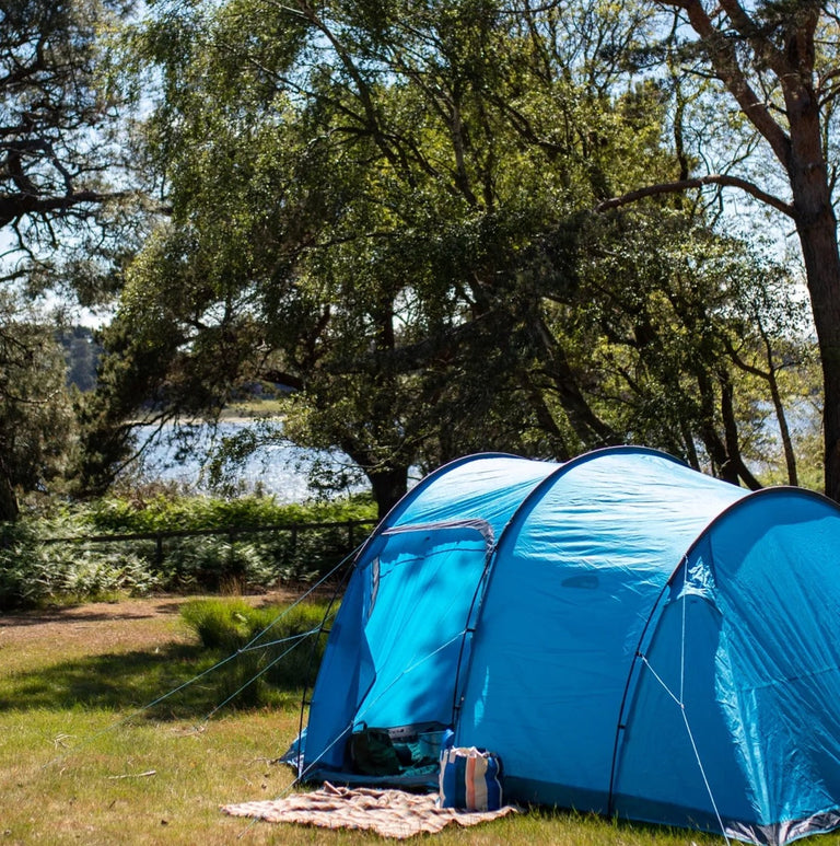 THE PUNCH IN THE FACE THAT SIMPLIFIED IT ALL